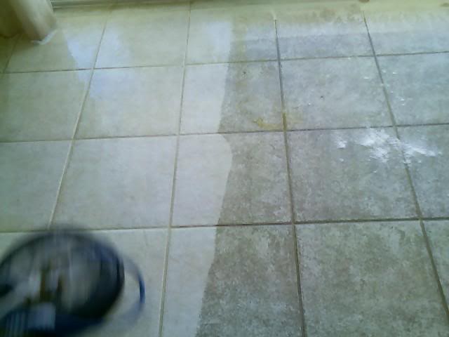 01-30-09_1036.jpg