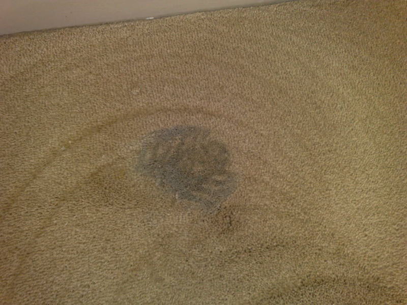 06082008035.jpg