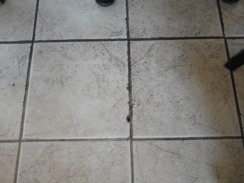 11-01-14LaViennaBakeryTile1.jpg