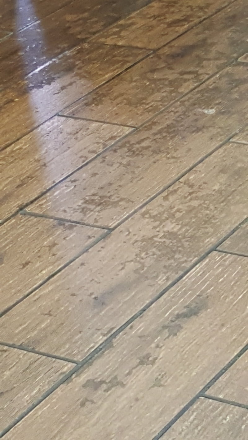 1473530913359-1742859804.jpg
