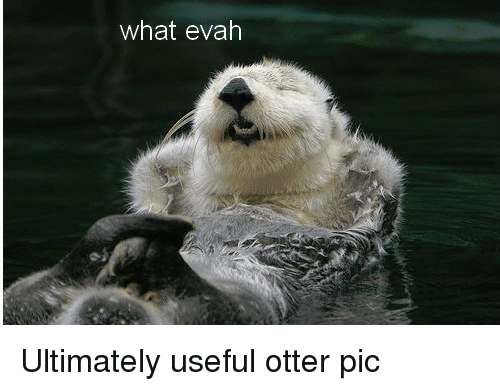 1575127998314.png