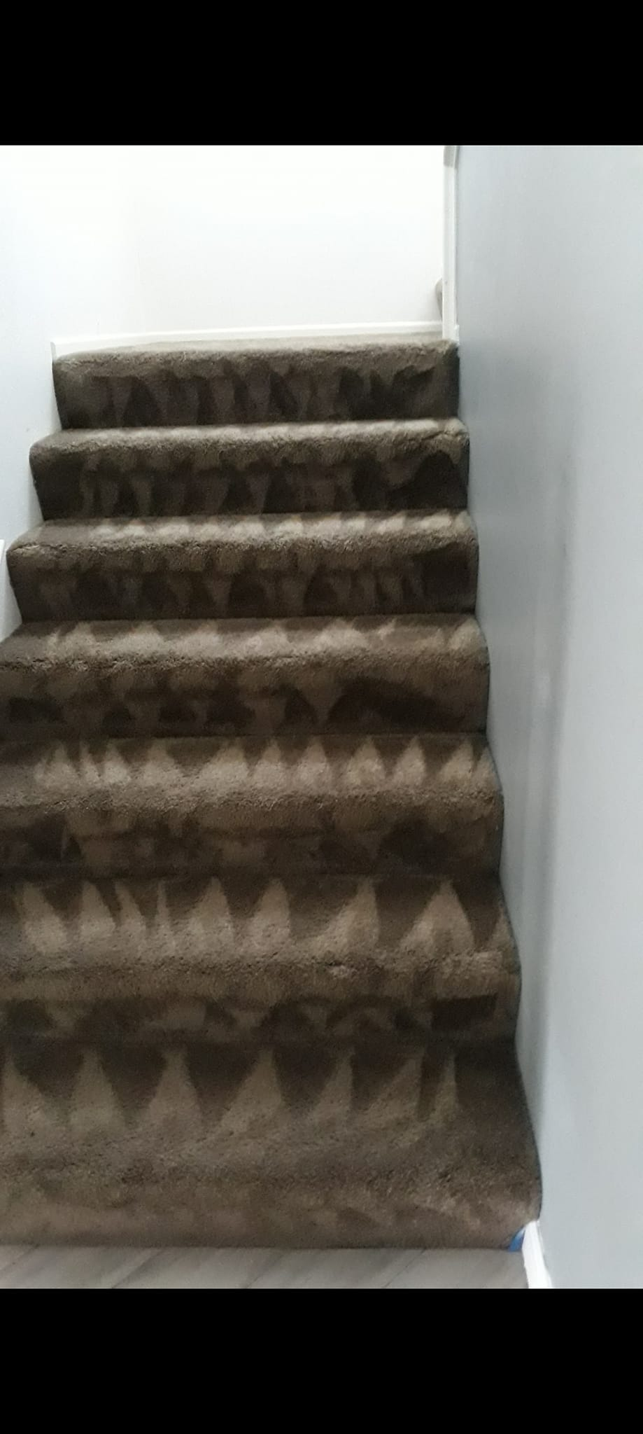 1691593036330.png