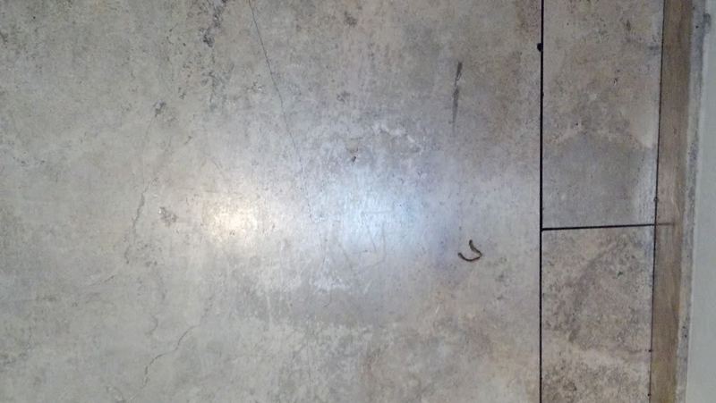 2013-03-06_08-24-18_805.jpg