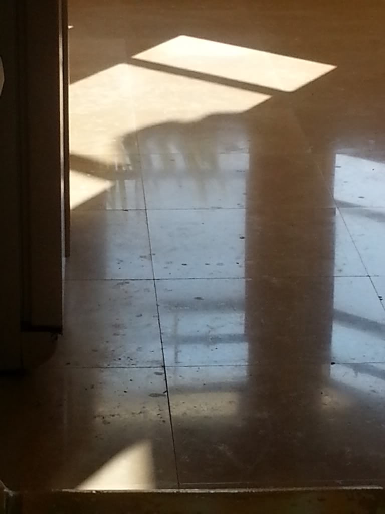 20130206_100501_zps27491baf.jpg