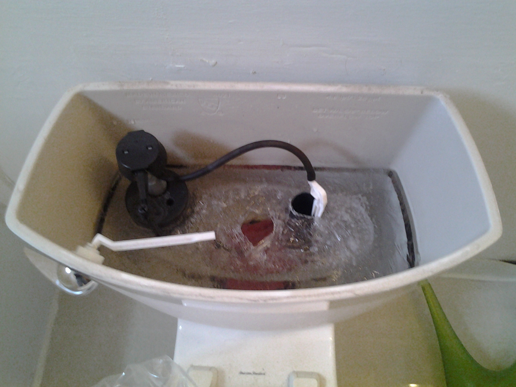 20141120_111007.jpg