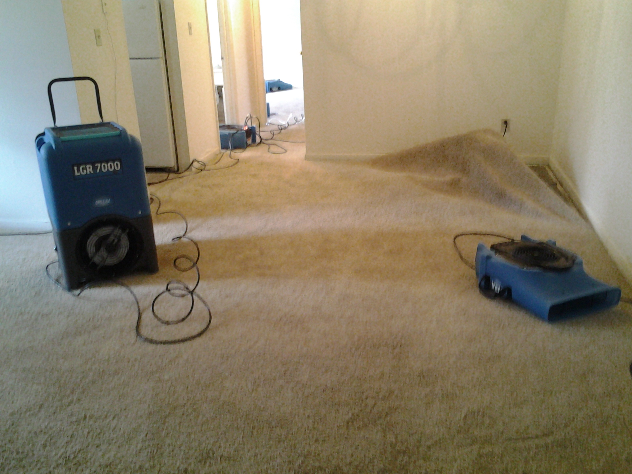 20141120_133251.jpg