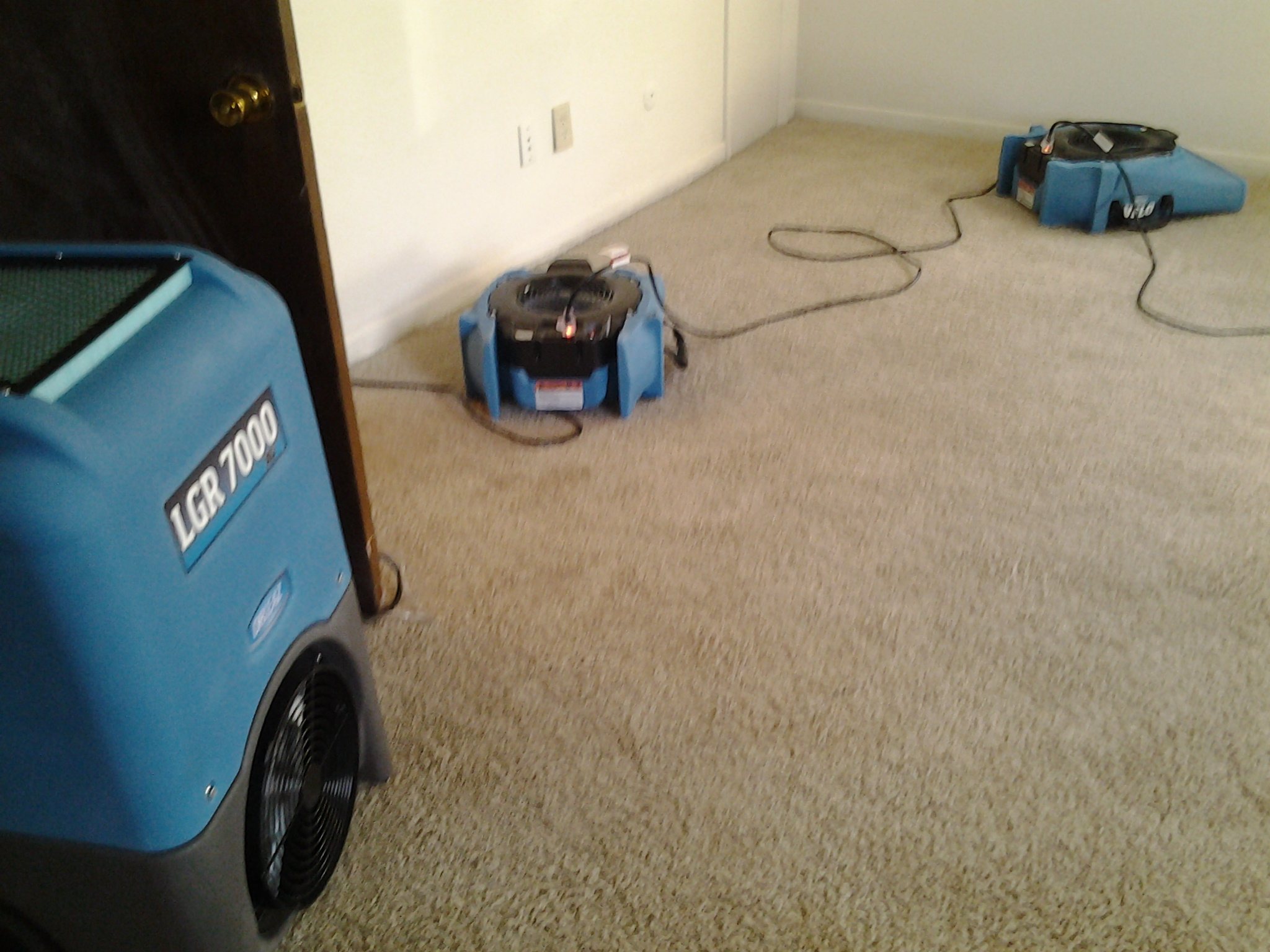 20141120_133346.jpg