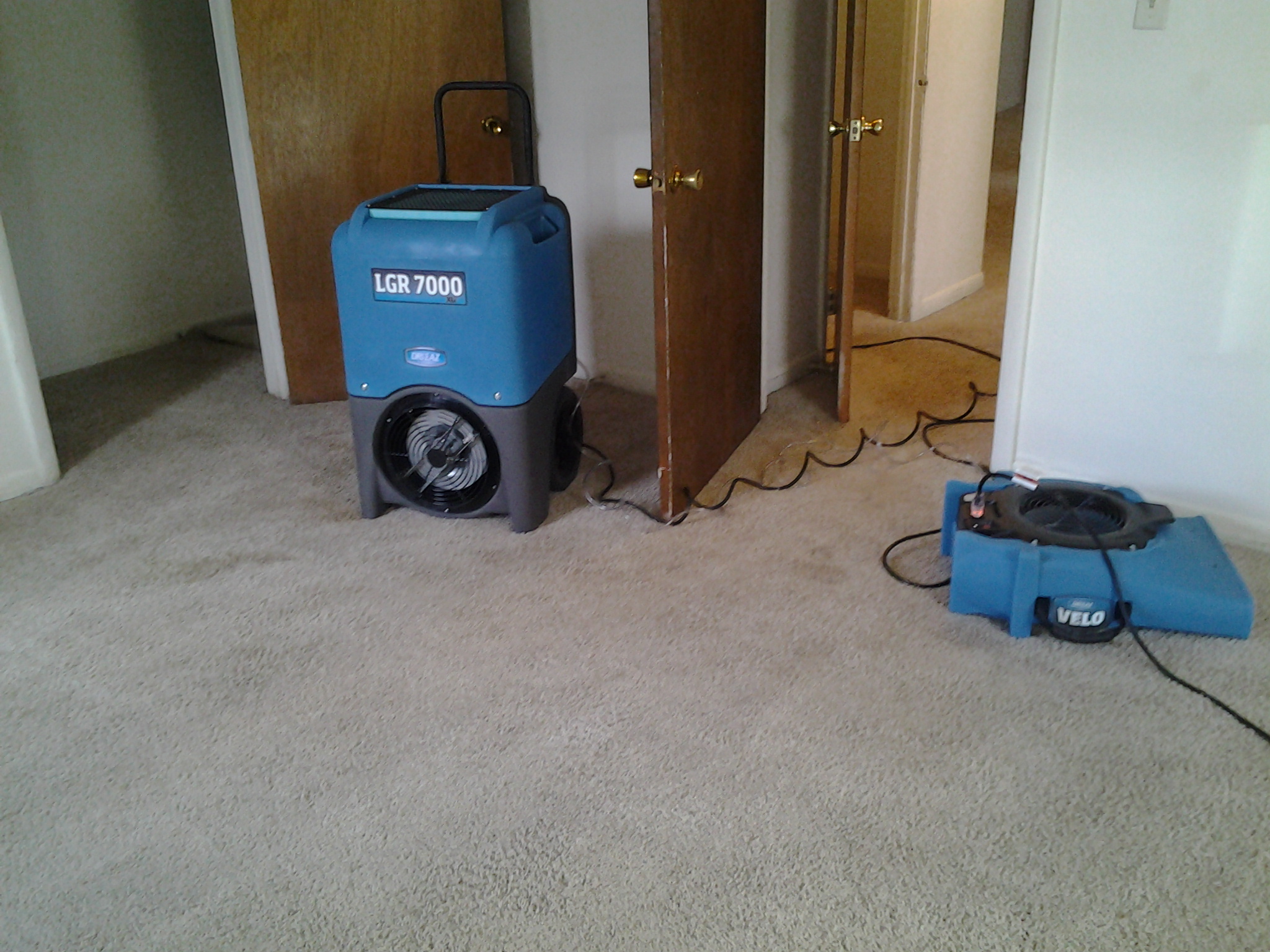 20141120_133412.jpg
