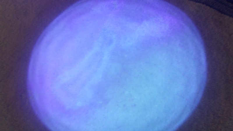 20170510_065039.jpg