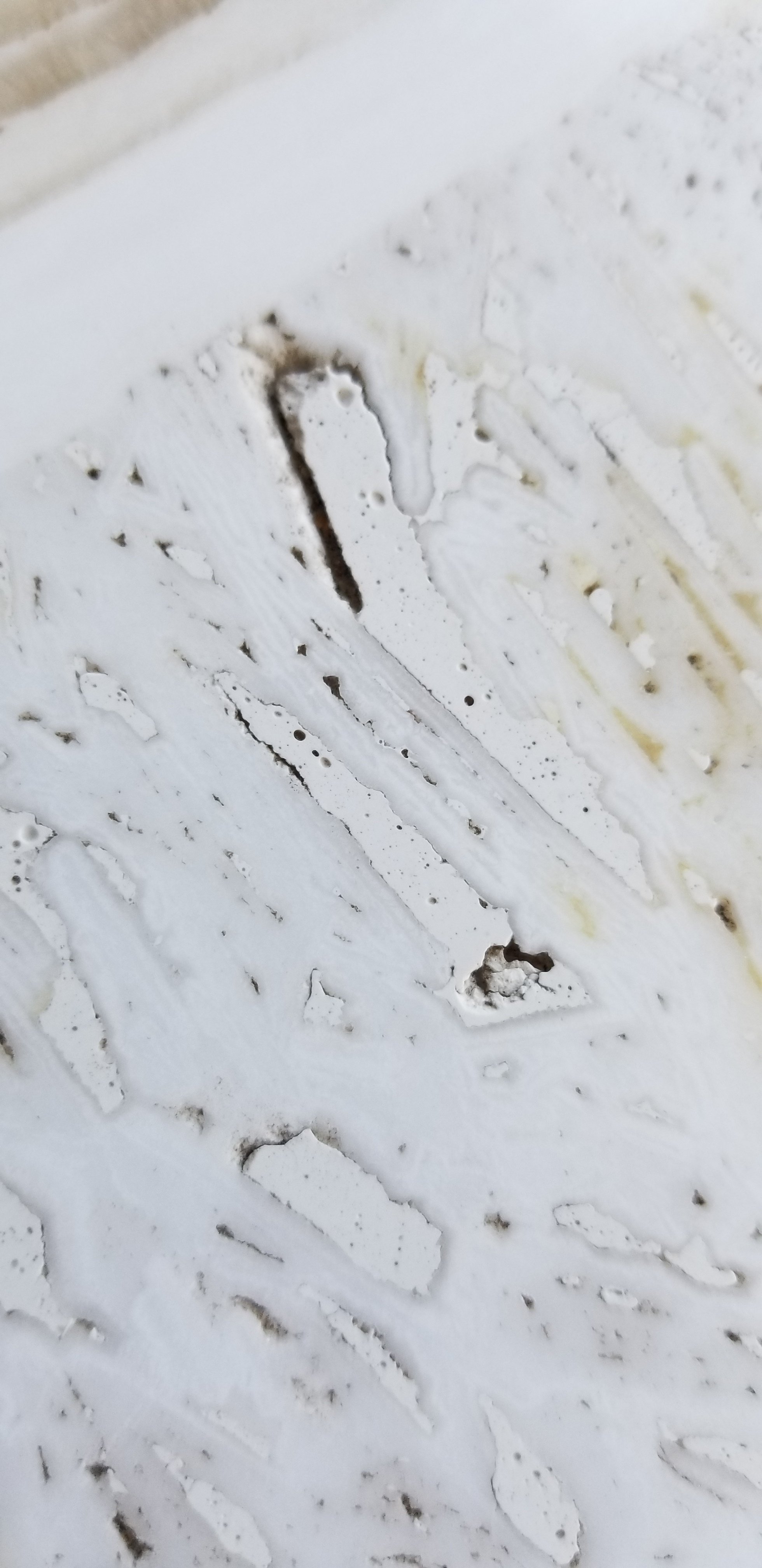 20180514_124129.jpg