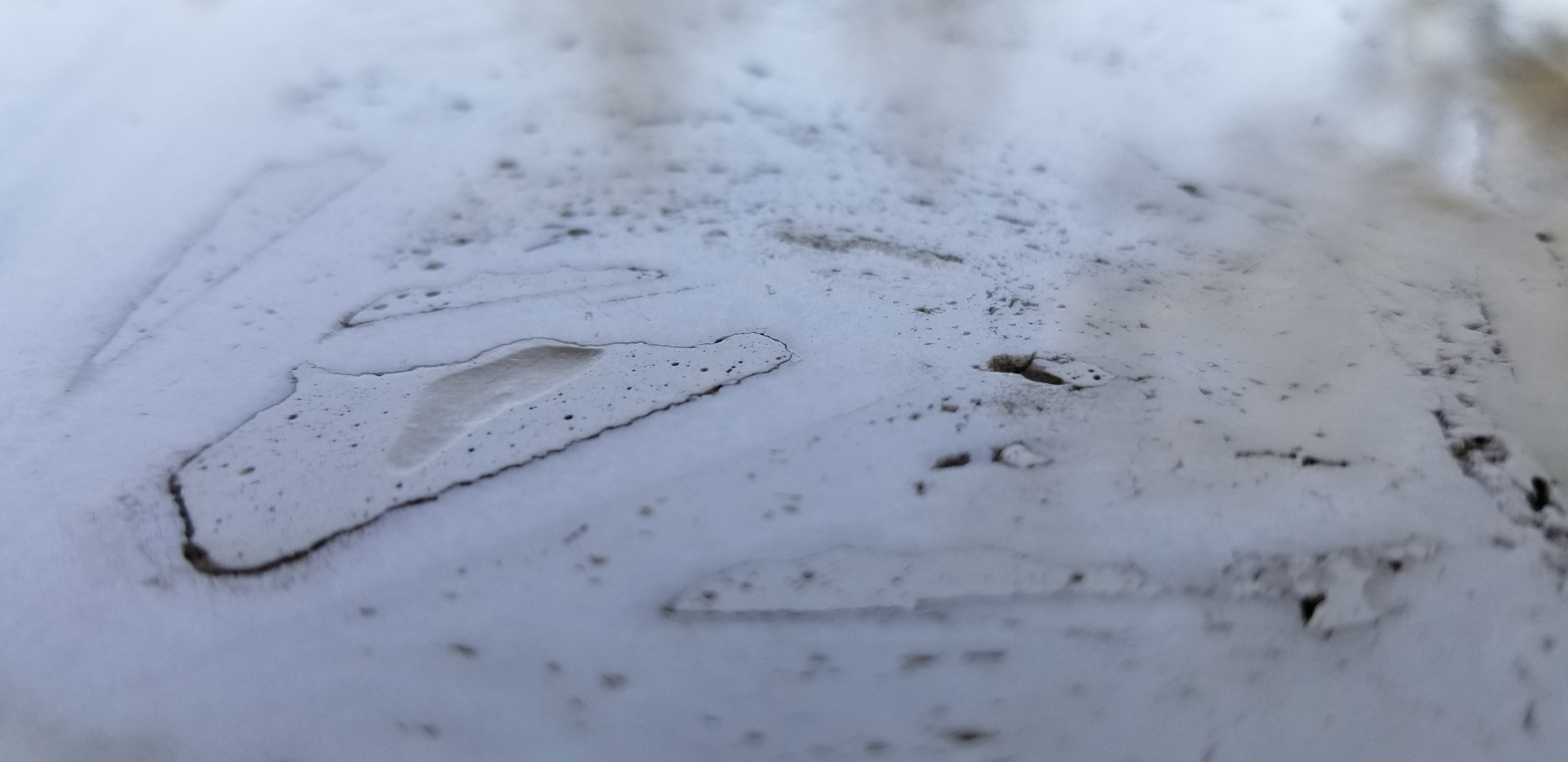 20180514_124143.jpg
