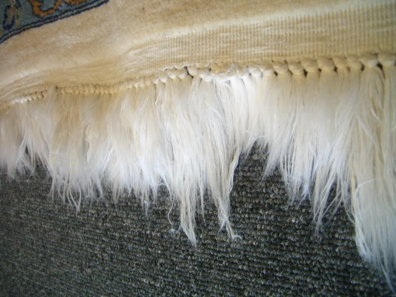 5252007003.jpg