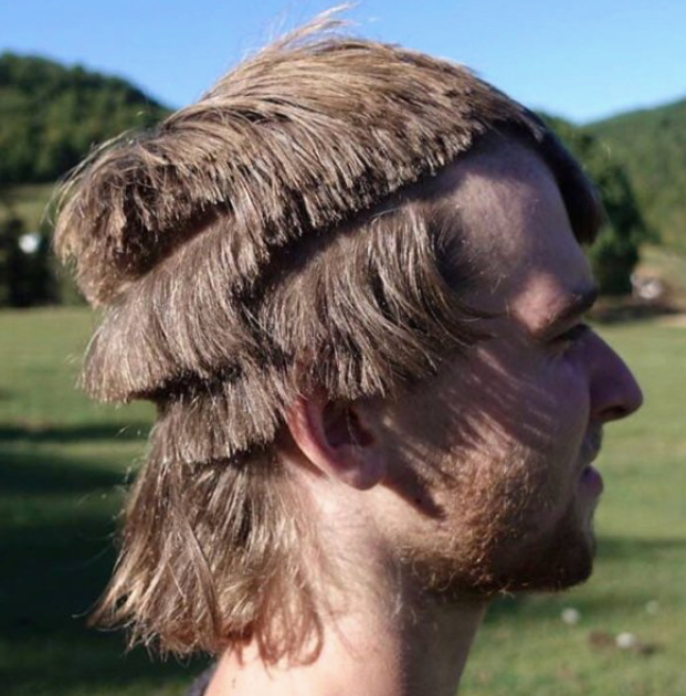 bad hair.png