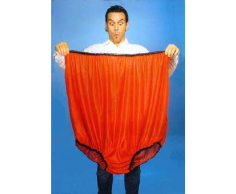 big-momma-panties-1_zps6a20d58a.jpg