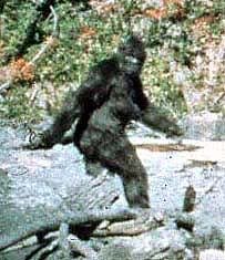 bigfootsmall.jpg