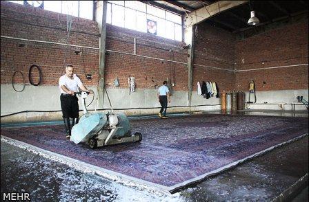 Bigrugwash533194_10151457384824362_177800648_n_zps92171d5e.jpg