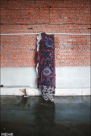 Bigrugwash541002_10151457384884362_619957024_n_zps0d940c47.jpg