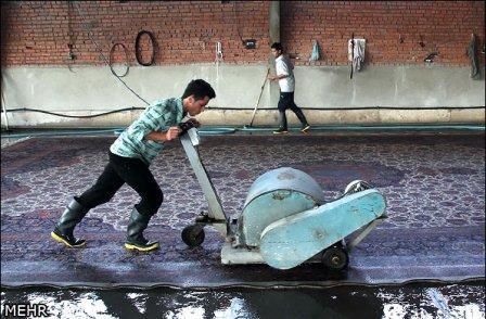 Bigrugwash735039_10151457385054362_1765850375_n_zpsc62c86f1.jpg