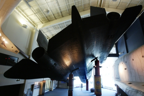 blackbird.jpg