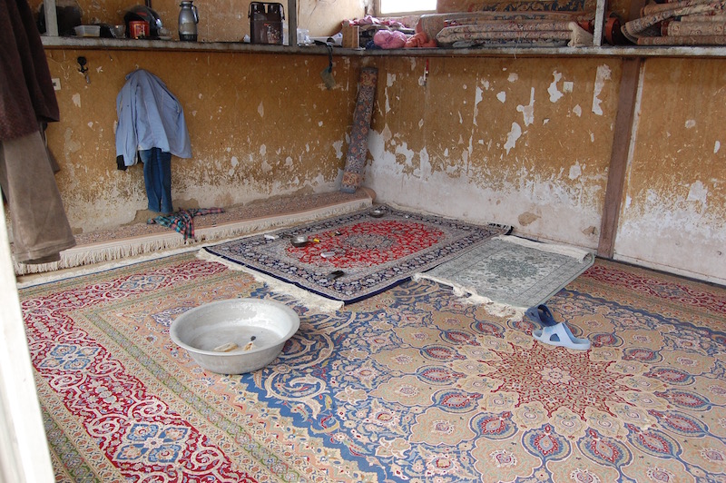 DSC_0306.jpg