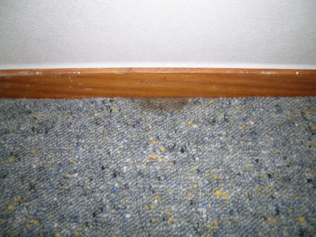 DSCN2313.jpg