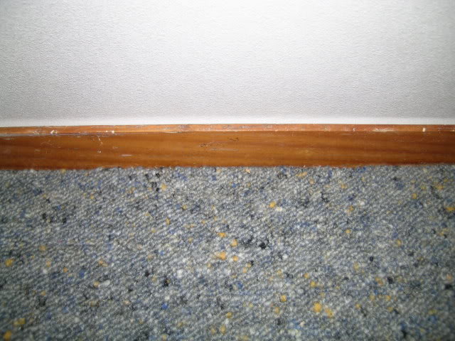 DSCN2314.jpg