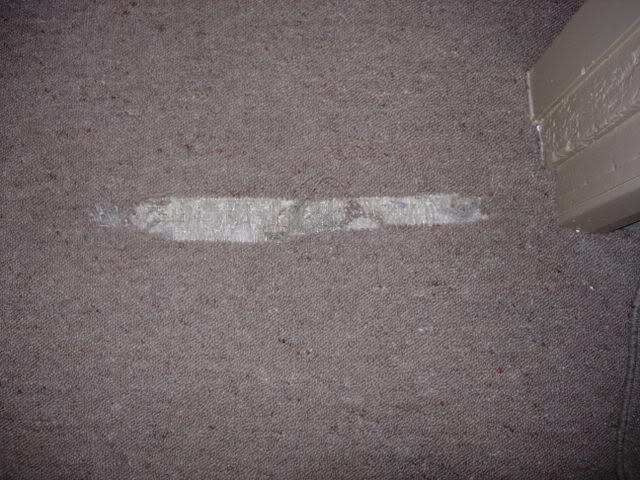DSCN3132.jpg