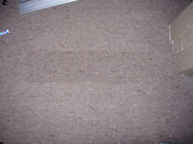 DSCN3133.jpg