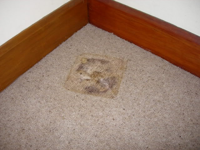 DSCN3162.jpg