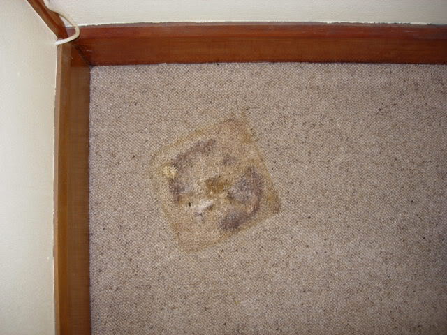 DSCN3163.jpg