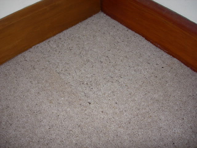 DSCN3165.jpg