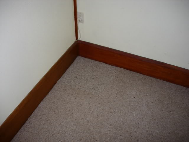 DSCN3166.jpg
