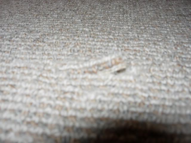 DSCN3228.jpg