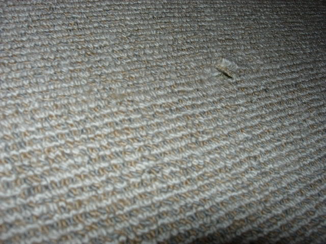 DSCN3230.jpg