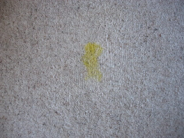 DSCN3258.jpg