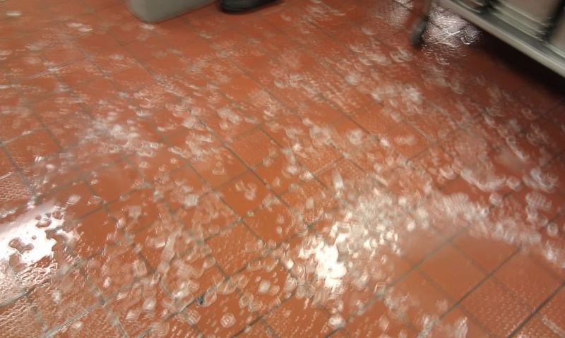 IMAG0155.jpg