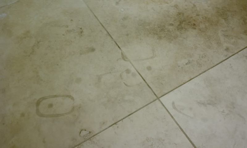 IMAG0474.jpg