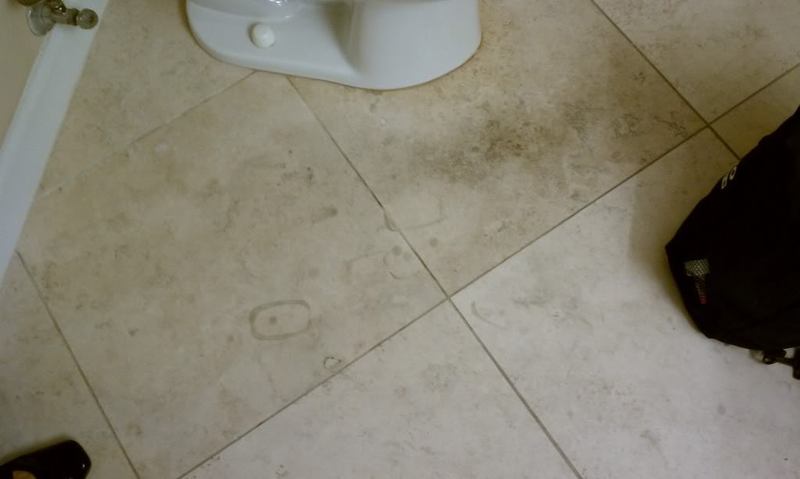 IMAG0475.jpg