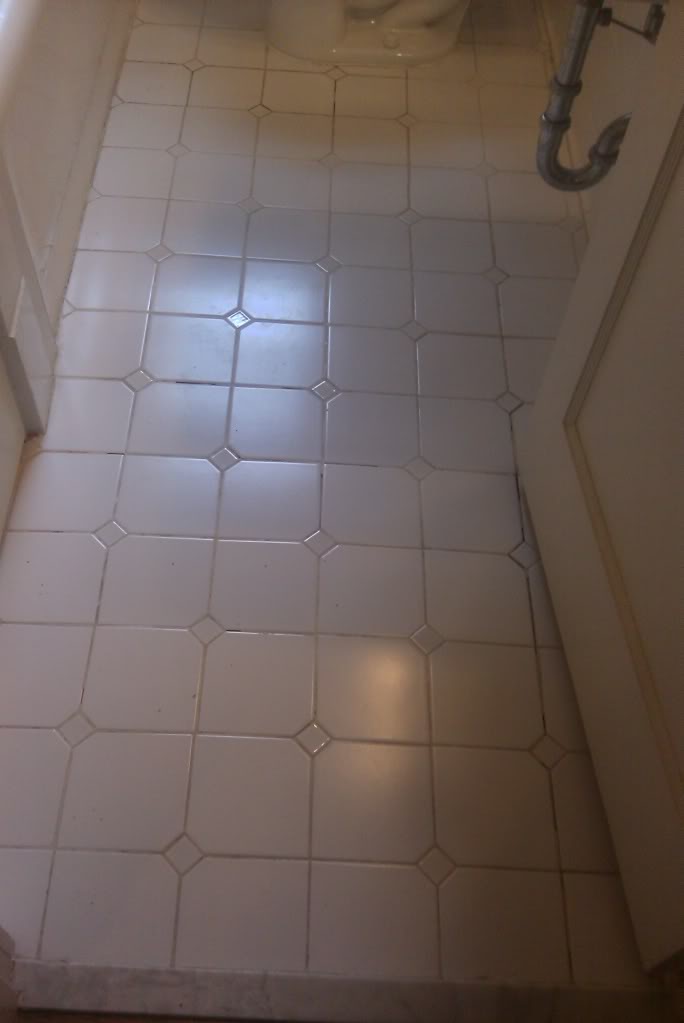 IMAG06461.jpg