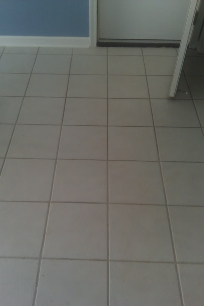 IMAG0662.jpg