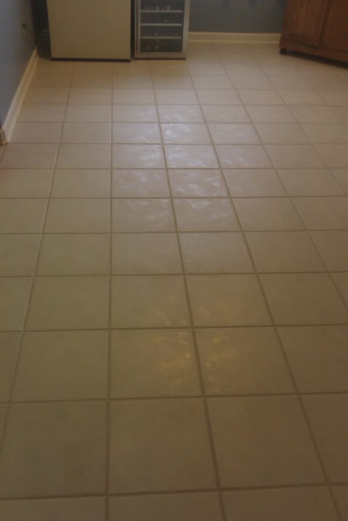 IMAG0664.jpg