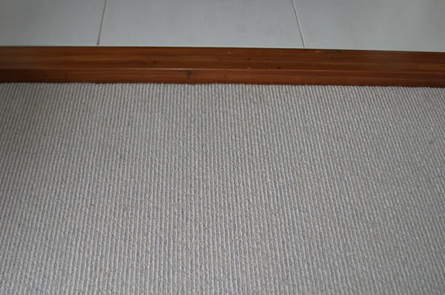 IMG_3781.jpg