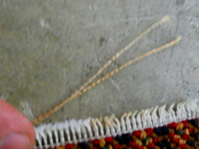 P1020126.jpg