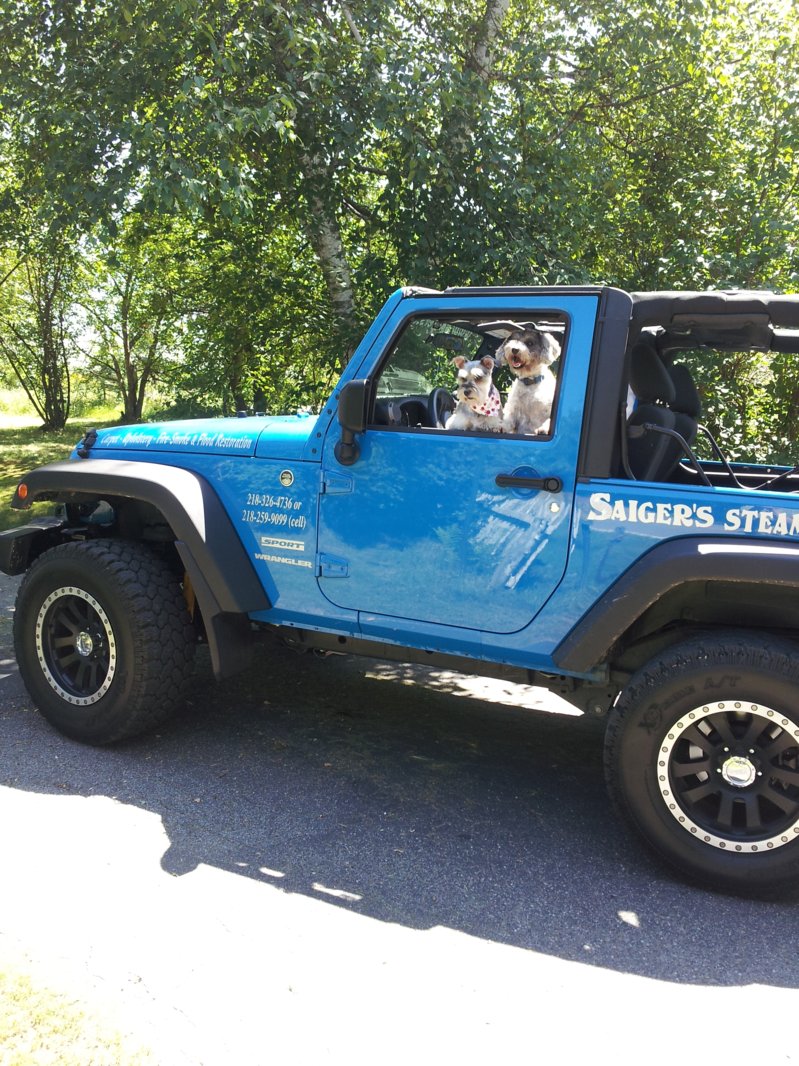puppies jeep.jpg