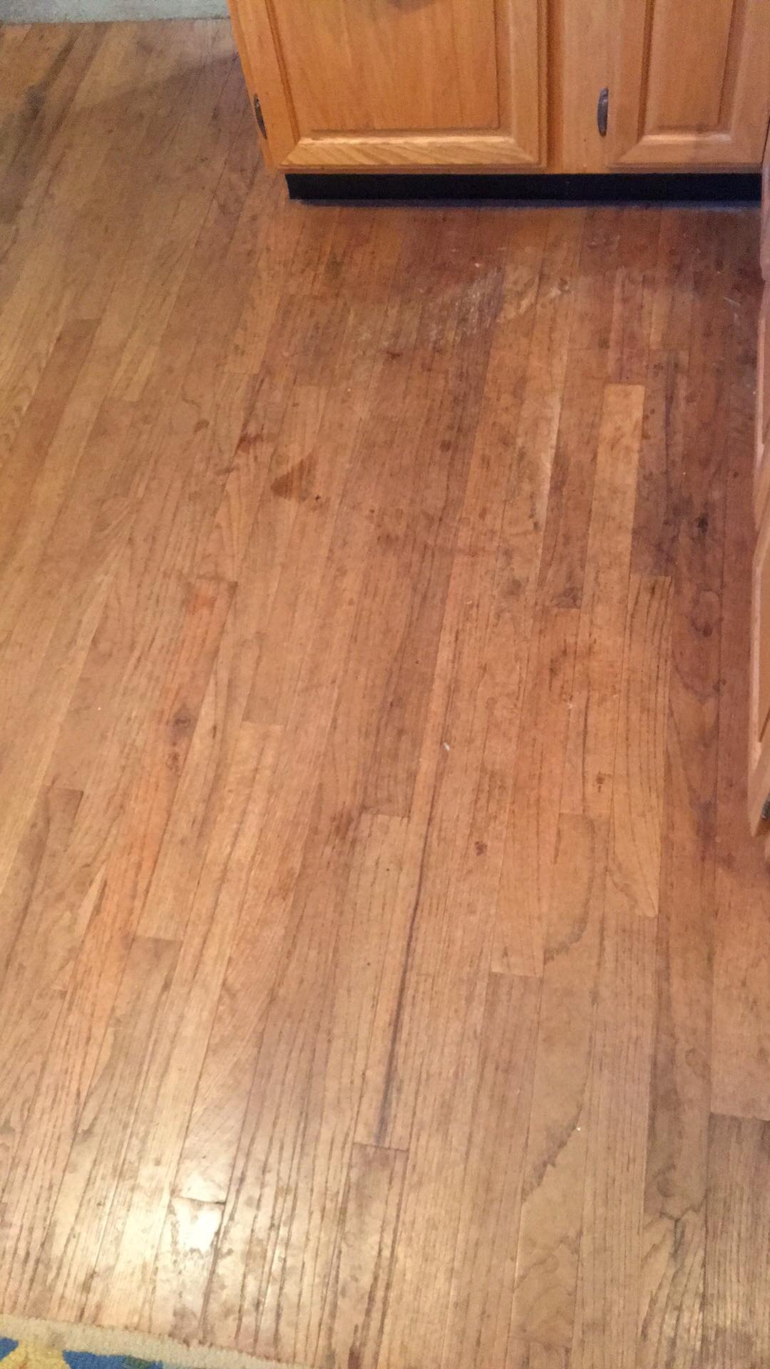received_2048704495154326.jpeg