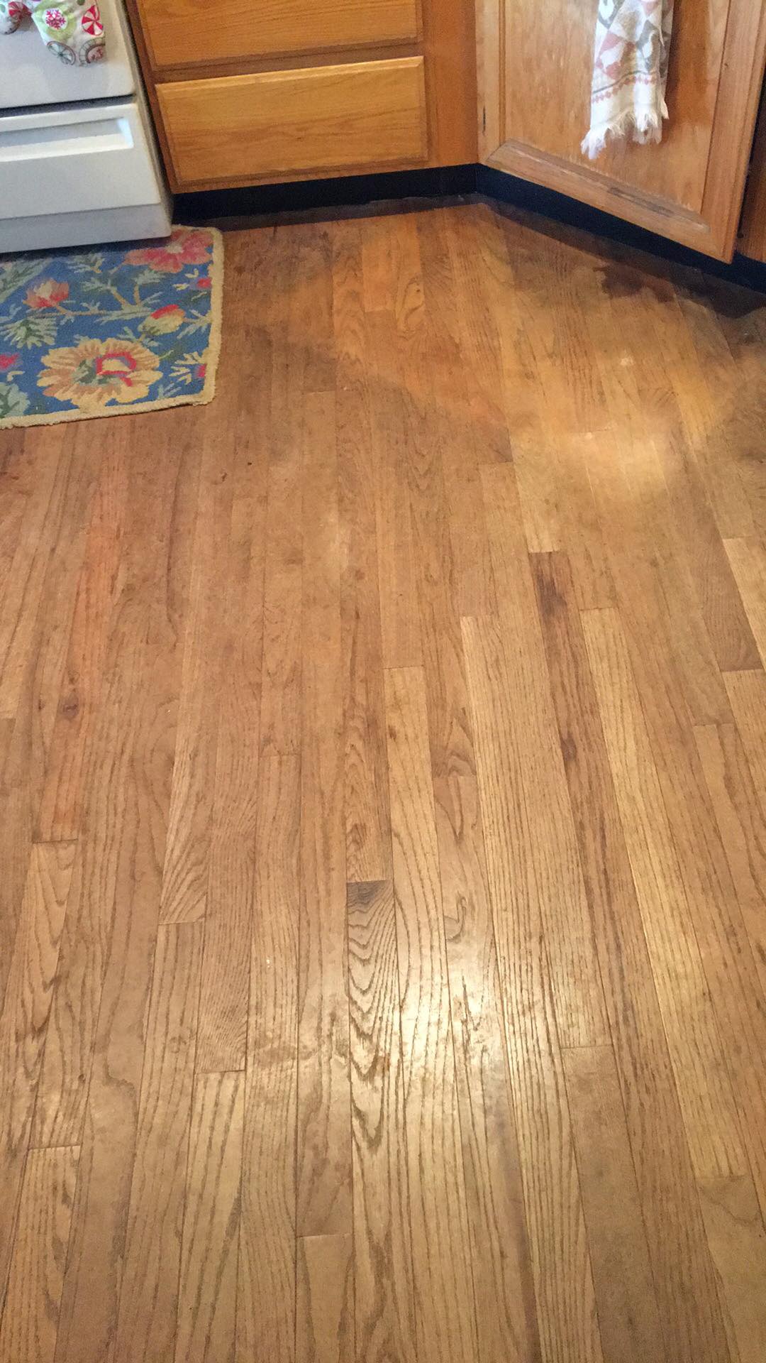 received_2048704505154325.jpeg