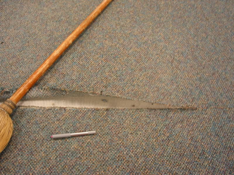 STN6_IMG.jpg