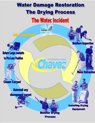 WaterDamageInfoGraphic_zpsb4b72dba.jpg