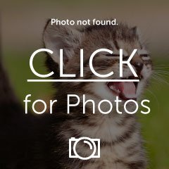 IMG_3298.jpg