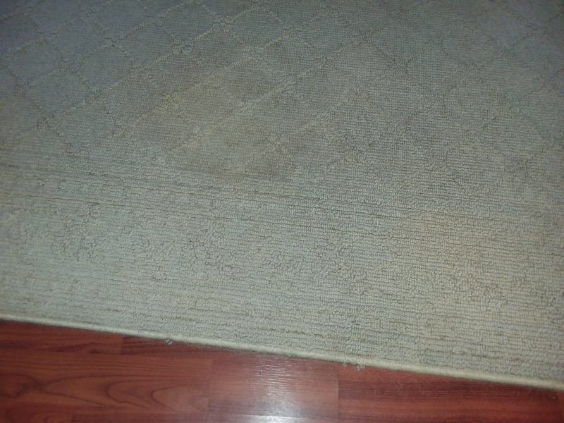 rug edge.jpg